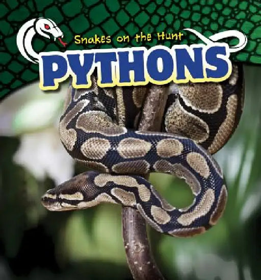Pythons by Amy Austen
