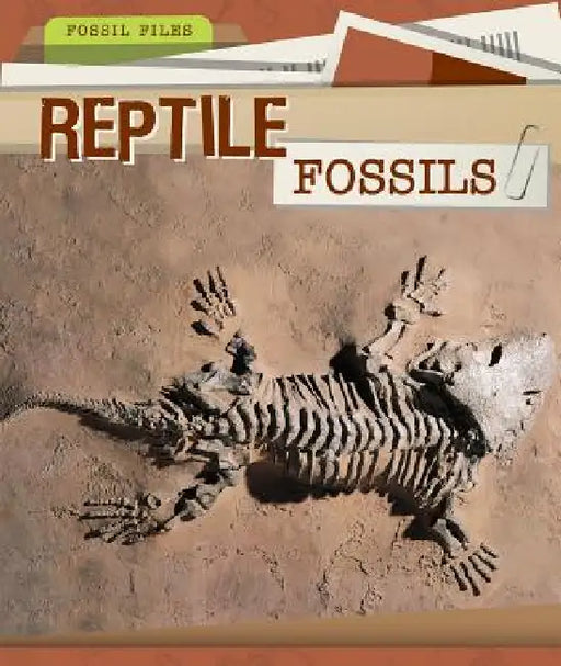 Reptile Fossils by Christine Honders
