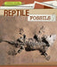 Reptile Fossils by Christine Honders