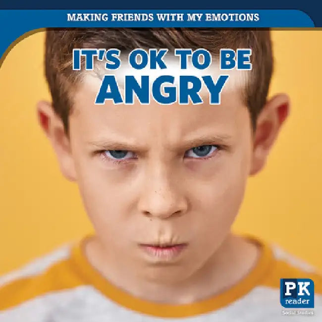 It's Ok to Be Angry by Theresa Emminizer