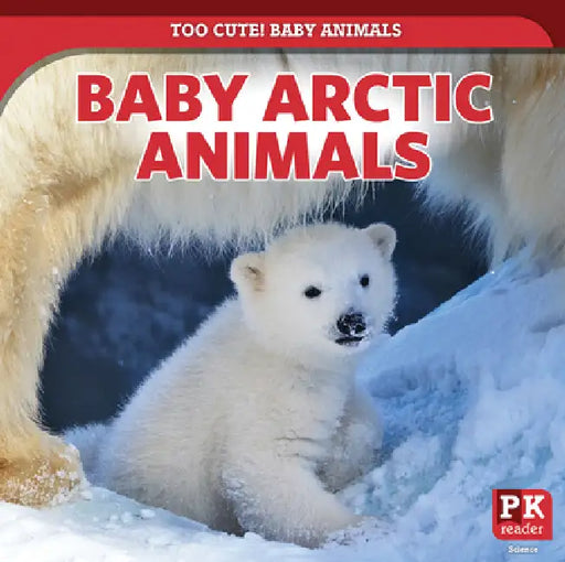 Baby Arctic Animals by Rachael Morlock