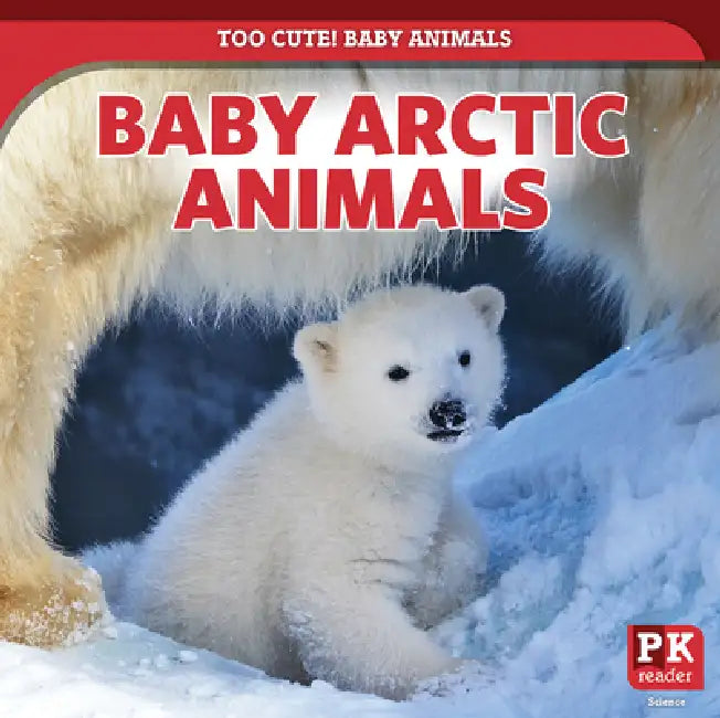 Baby Arctic Animals by Rachael Morlock