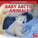 Baby Arctic Animals by Rachael Morlock