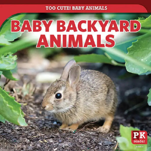 Baby Backyard Animals by Rachael Morlock