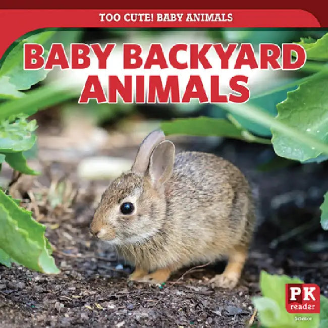 Baby Backyard Animals by Rachael Morlock