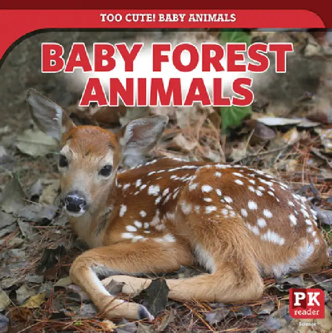 Baby Forest Animals by Rachael Morlock