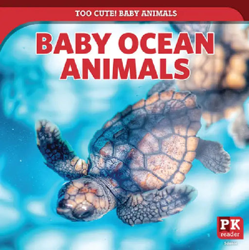Baby Ocean Animals by Rachael Morlock