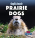 Prairie Dogs by Ursula Pang