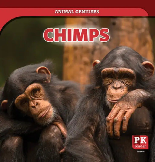 Chimps by Theresa Emminizer