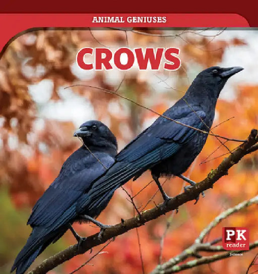 Crows by Theresa Emminizer