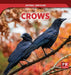 Crows by Theresa Emminizer
