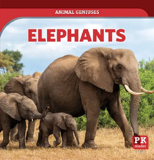 Elephants by Theresa Emminizer