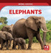 Elephants by Theresa Emminizer