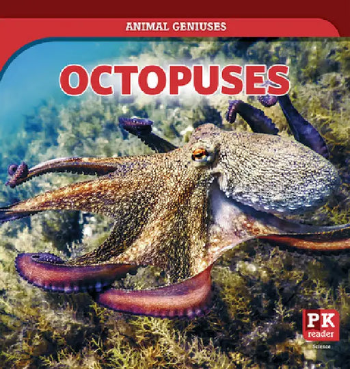 Octopuses by Theresa Emminizer
