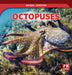 Octopuses by Theresa Emminizer