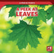 A Peek at Leaves by Doug Bradley