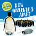 How Animals Adapt by Ashley Ward
