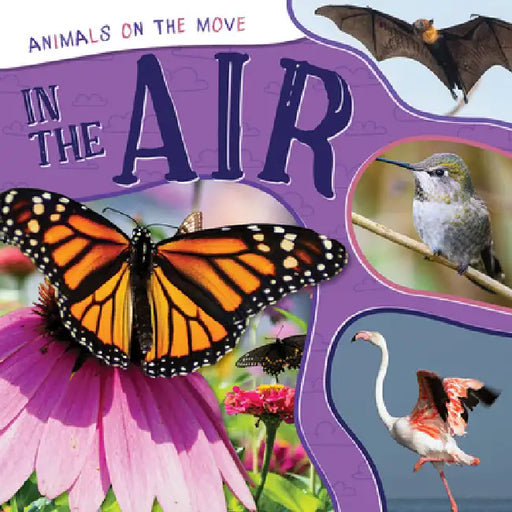 In the Air by Eliza Nodes