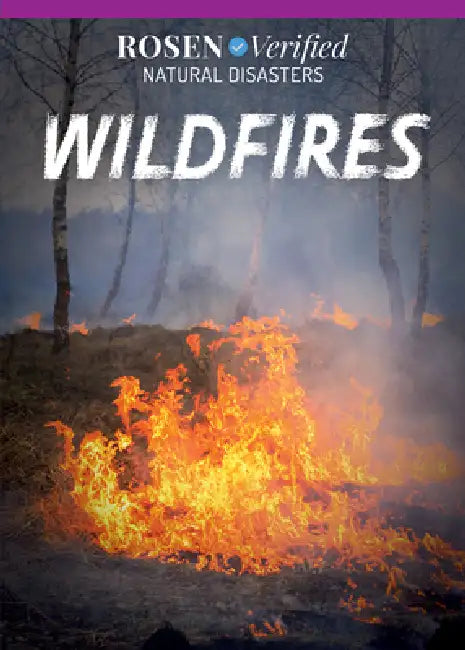 Wildfires by Theresa Emminizer
