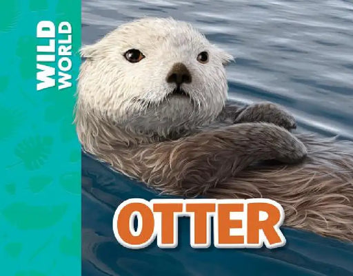 Otter by Meredith Costain, Gary Hanna