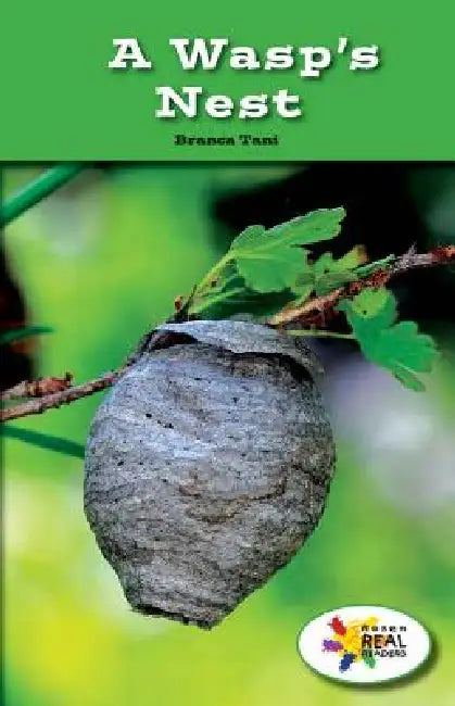 A Wasp's Nest by Branca Tani