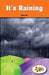 It's Raining by Nancy Hicer