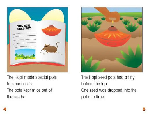 Bo's Seed Pot by Carter Hayn