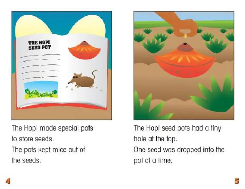 Bo's Seed Pot by Carter Hayn