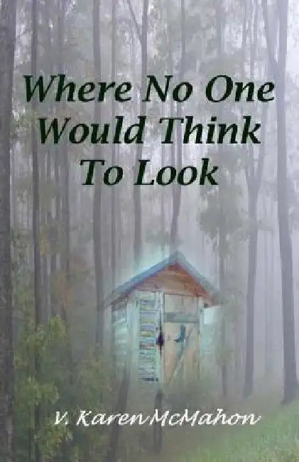 Where No One Would Think to Look by V. Karen McMahon