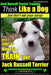 Jack Russell Terrier Training, Think Like a Dog, But Don't Eat your Poop!: Here's EXACTLY How To Train Your Jack Russell Terrier by Paul Allen Pearce
