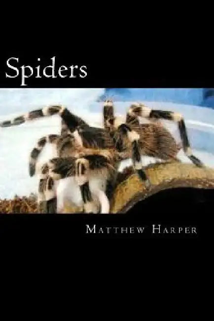Spiders: A Fascinating Book Containing Spider Facts, Trivia, Images & Memory Recall Quiz: Suitable for Adults & Children by Matthew Harper