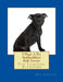 I Want A Pet Staffordshire Bull Terrier: Fun Learning Activities by Gail Forsyth