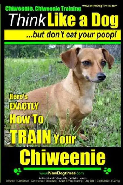 Chiweenie, Chiweenie Training AAA AKC Think Like a Dog...but Don't Eat Your Poop!: Chiweenie Breed Expert Dog Training - Here's EXACTLY How To Train Y by Paul Allen Pearce