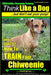 Chiweenie, Chiweenie Training AAA AKC Think Like a Dog...but Don't Eat Your Poop!: Chiweenie Breed Expert Dog Training - Here's EXACTLY How To Train Y by Paul Allen Pearce