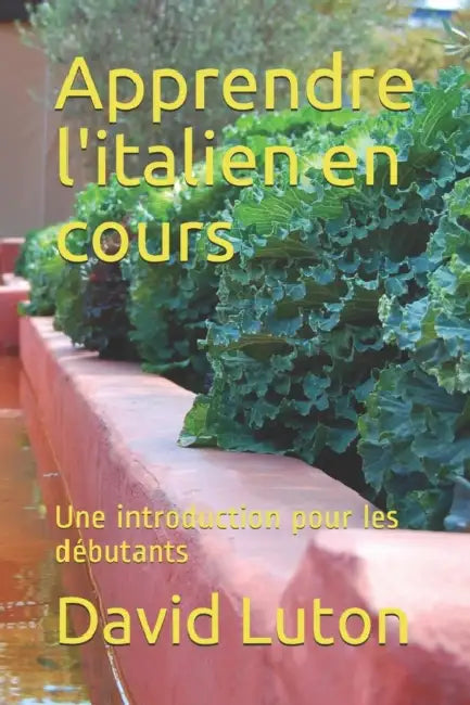 Apprendre l'italien en cours: Une introduction pour les débutants by David Spencer Luton