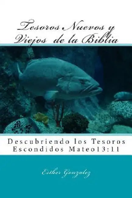 Tesoros Nuevos y Viejos de la Biblia by Gonzalez, Esther E.