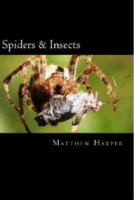Spiders & Insects: Two Fascinating Books Combined Together Containing Facts, Trivia, Images & Memory Recall Quiz: Suitable for Adults & Children by Matthew Harper