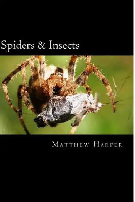 Spiders & Insects: Two Fascinating Books Combined Together Containing Facts, Trivia, Images & Memory Recall Quiz: Suitable for Adults & Children by Matthew Harper