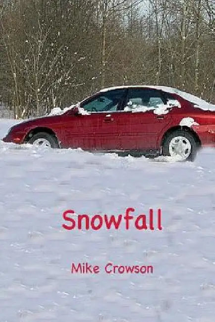 Snowfall by Mike Crowson