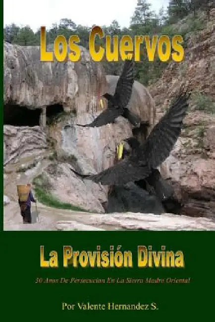 Los Cuervos: Provision Divina by Hernandez, Valente