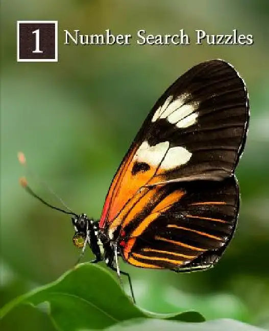 Number Search Puzzles 1: 100 Elegant Puzzles in Large Print by Puzzlefast
