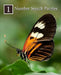 Number Search Puzzles 1: 100 Elegant Puzzles in Large Print by Puzzlefast