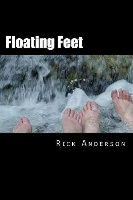 Floating Feet: Irregular dispatches from the Emerald City, with spies, assassins and Bin Laden's chauffeur by Rick Anderson