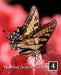 Number Search Puzzles 4: 100 Elegant Puzzles in Large Print by Puzzlefast Books
