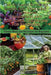 The Ultimate Guide To Raised Bed, Vegetable, Companion, Greenhouse And Container Gardening For Beginners: Proven Steps and Strategies for Beginners by Lindsey Pylarinos
