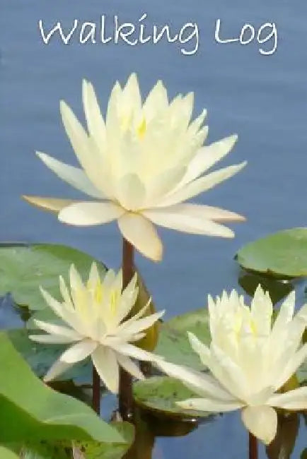 Walking Log: Lily by Tom Alyea