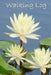 Walking Log: Lily by Tom Alyea