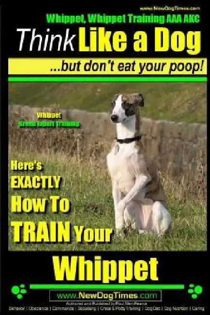 Whippet, Whippet Training AAA AKC: Think Like a Dog, but Don't Eat Your Poop! Whippet Breed Expert Training: Here's EXACTLY How to Train Your Whippet by Paul Allen Pearce