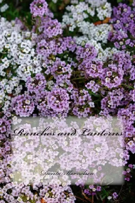 Ranches and Lanterns by Dorita Lynn Kornelsen