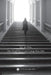 Sync The Stress: one small step can change your life by Lisa Gruenhut Gold Np